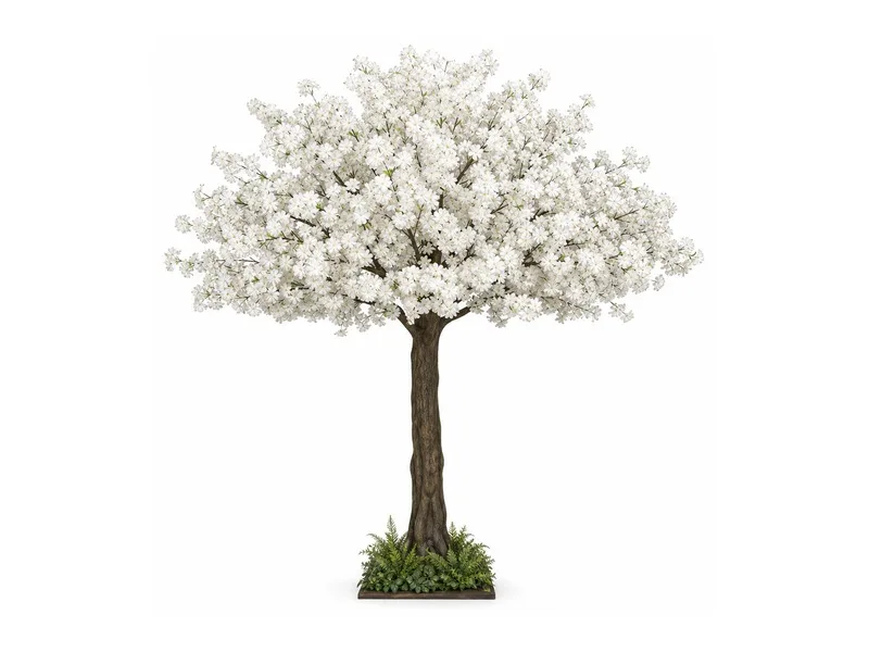 White Cherry Blossom