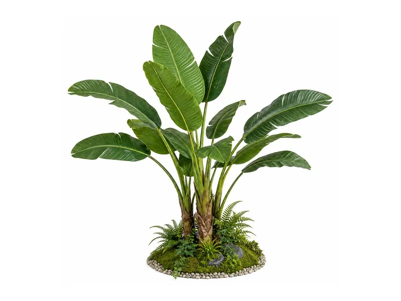 Banana Leaf