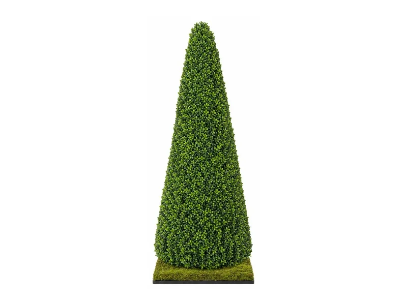 Cone / Spiral Topiary