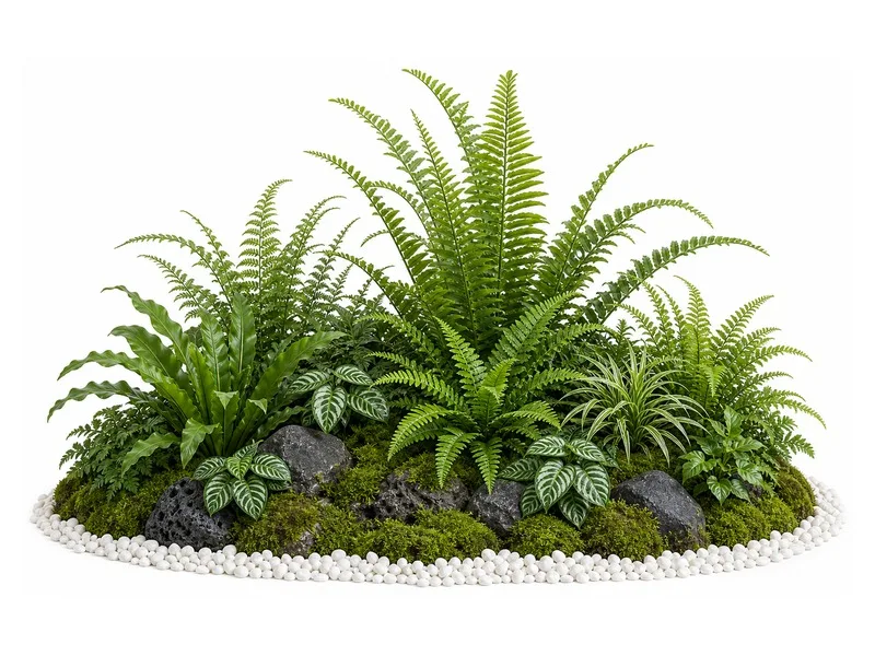 Rock & Fern Landscape